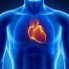 Дополните Вашу кардиологическую практику тестом на диффузионную способность легких - DLCO